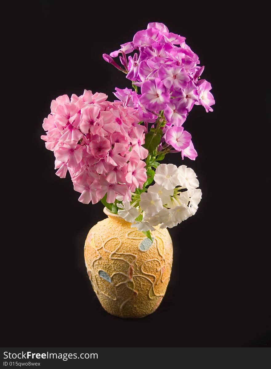 Yellow vase with beautiful colors phloxes