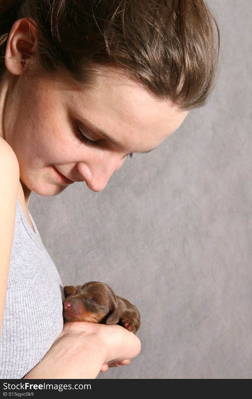 Cute dachshund  puppy on the hand on grey ground