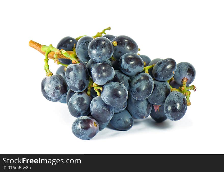 Blue wine grape, isolated