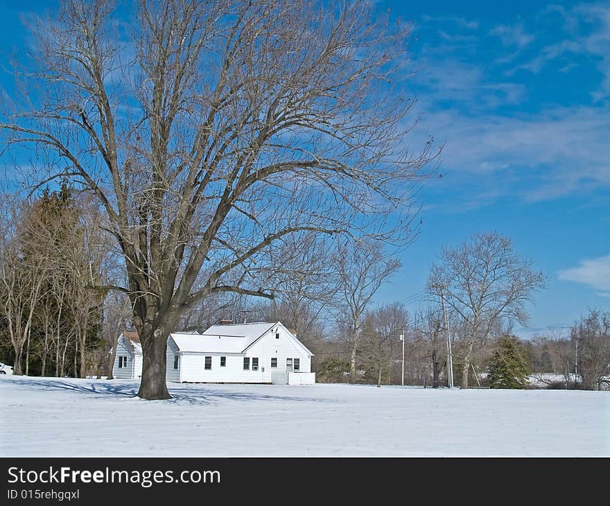 Winter View