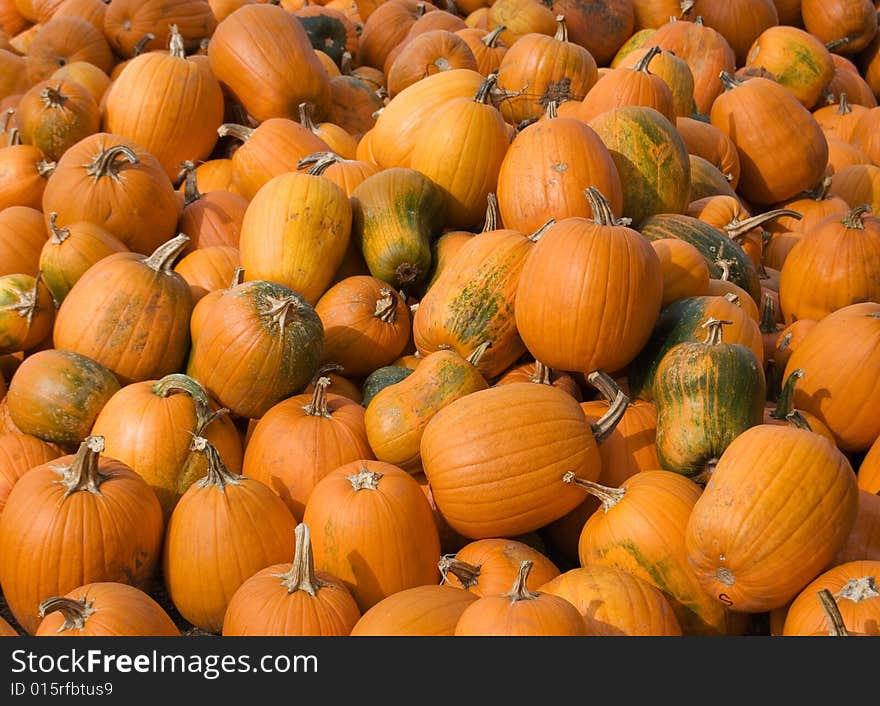 A large pile of pumpkins