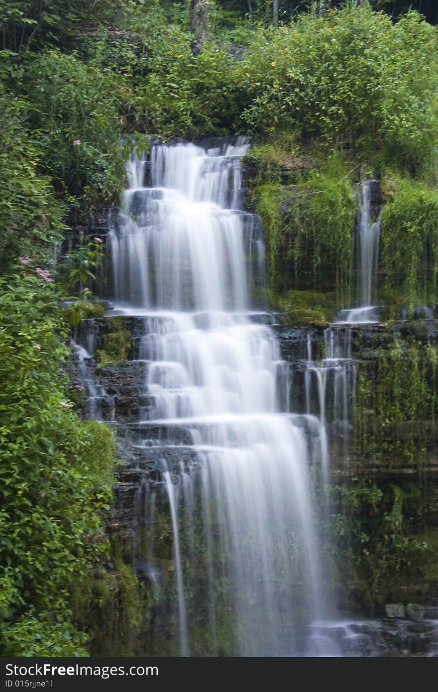 A small waterfall cascades down its steps through thick vegetation. A small waterfall cascades down its steps through thick vegetation.