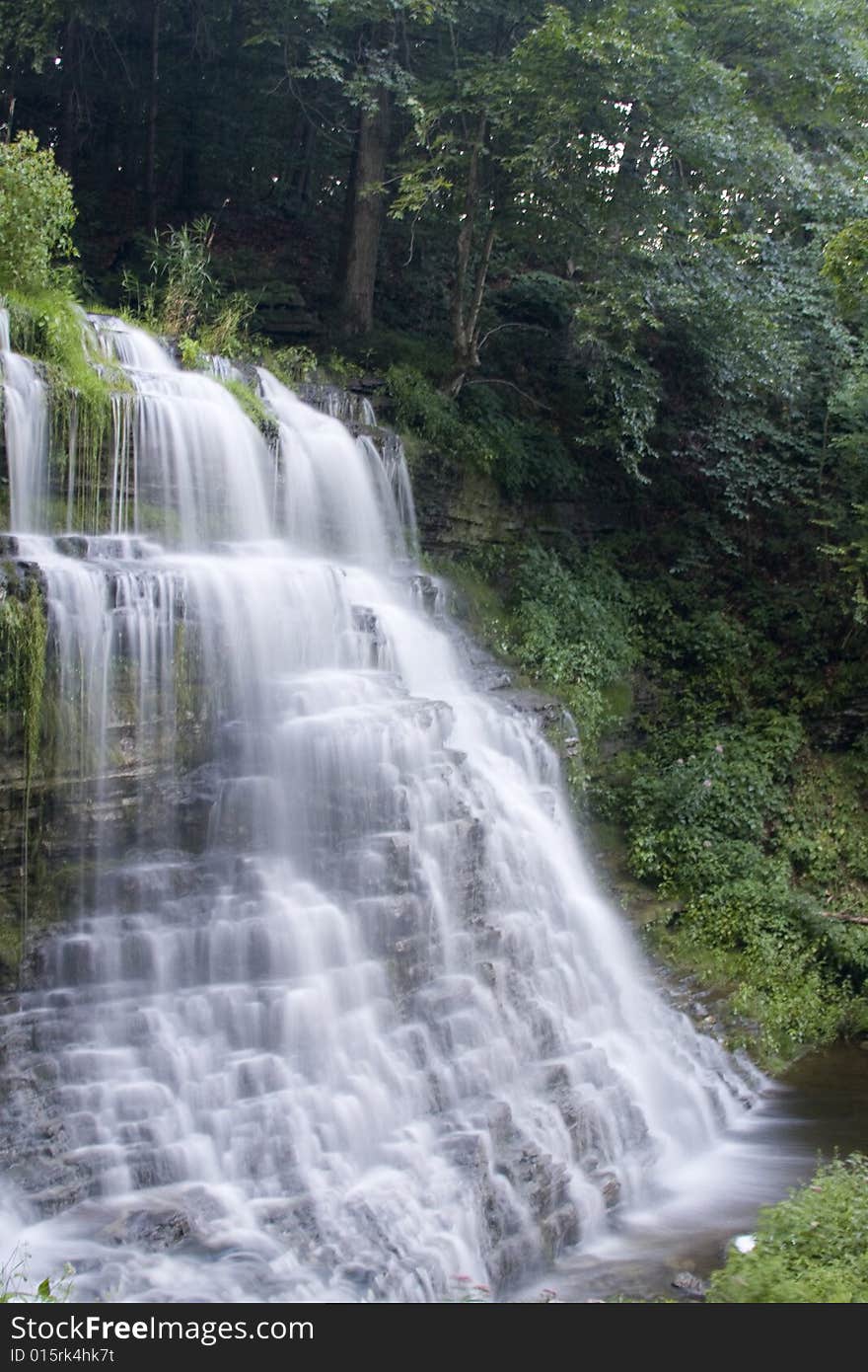 A small waterfall cascades down its steps through thick vegetation. A small waterfall cascades down its steps through thick vegetation.