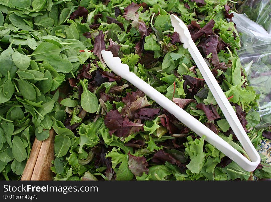 Salad mixture made of farm fresh leaves. Salad mixture made of farm fresh leaves.