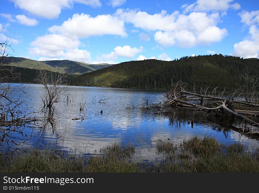 Rural Lake