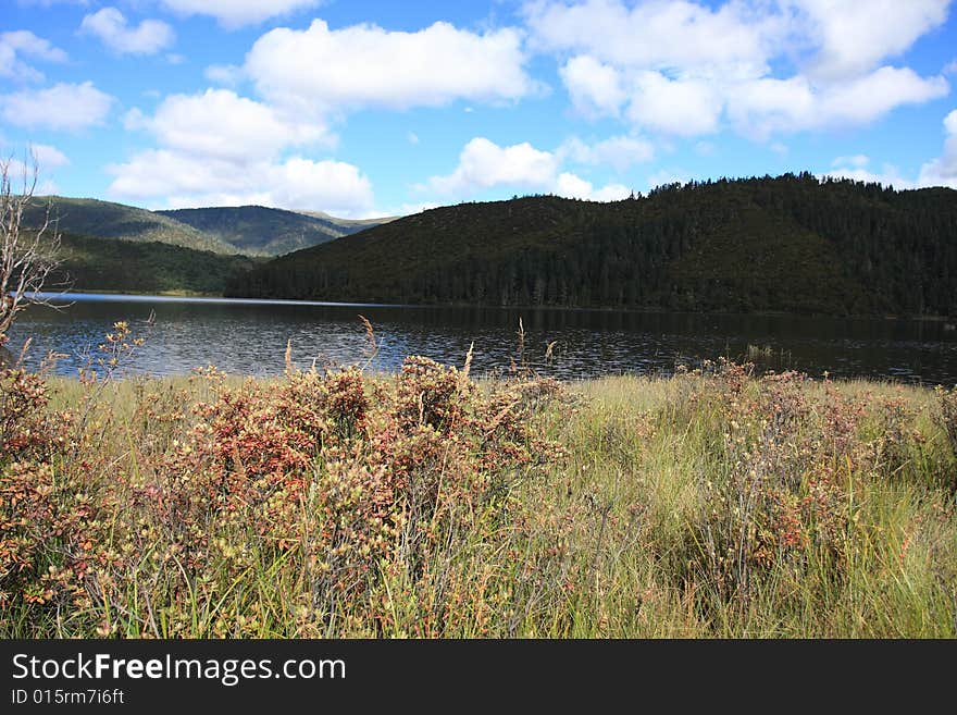 Grass & lake