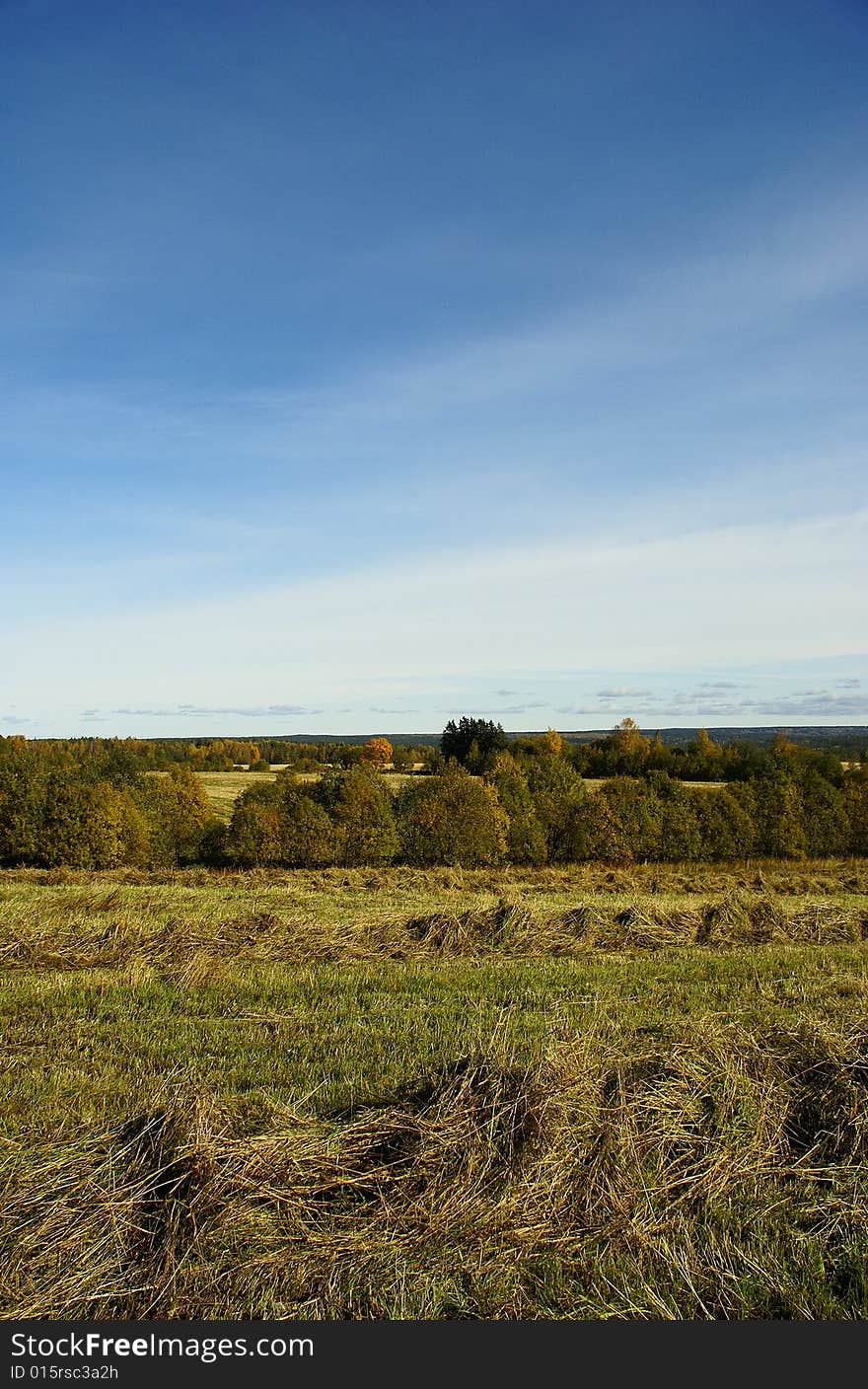 The photo is made in Leningrad region, Russia, September 2008. The photo is made in Leningrad region, Russia, September 2008