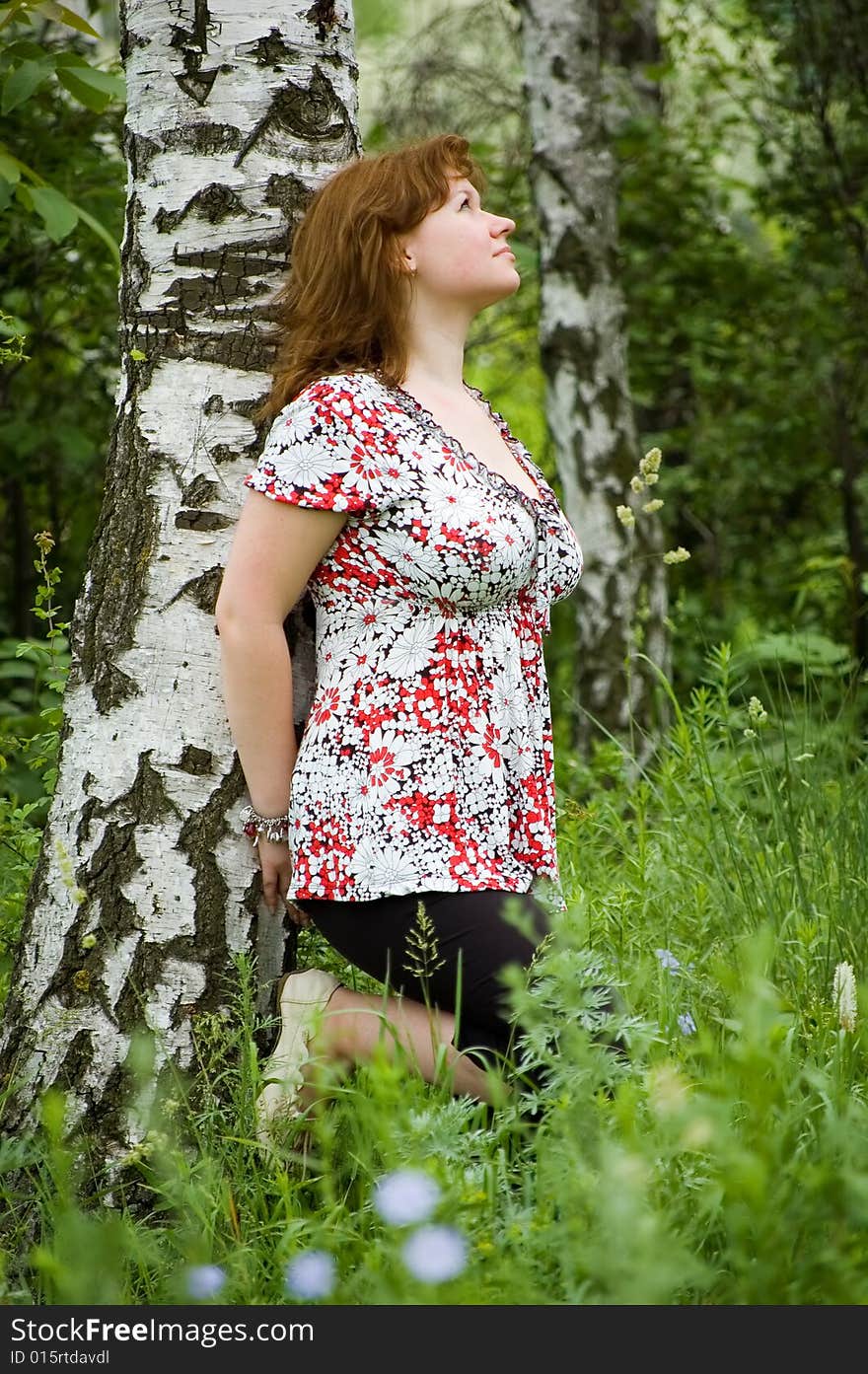 The brown-haired woman leans against a birch. The brown-haired woman leans against a birch