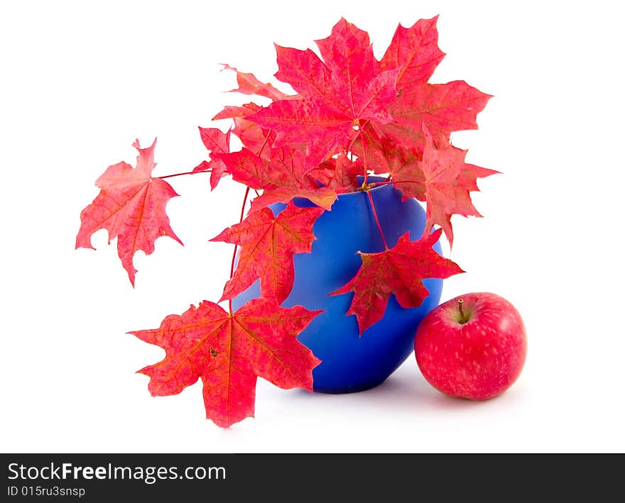 Red maple leaves in dark-blue to vase and ripe red apple on white background