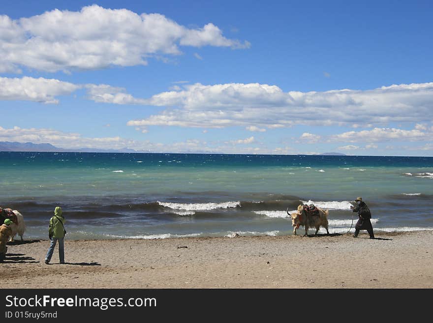 Tibet is one of the Nam Co Lake on the plateau of Pearl, surrounded by snow-capped mountains around, as in Wonderland. Tibet is one of the Nam Co Lake on the plateau of Pearl, surrounded by snow-capped mountains around, as in Wonderland