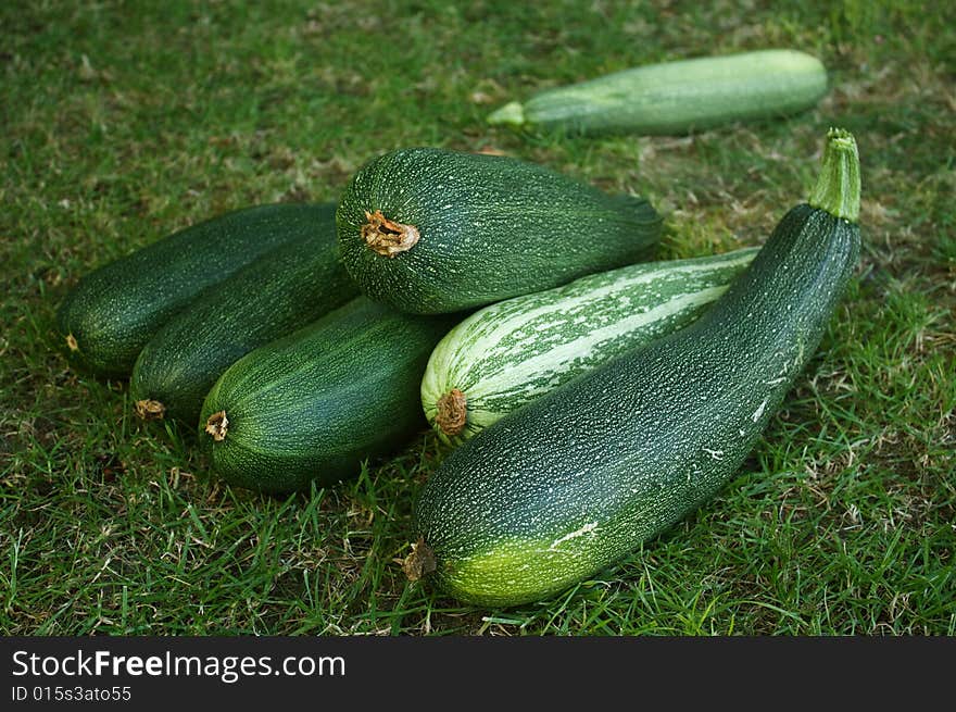 Courgettes