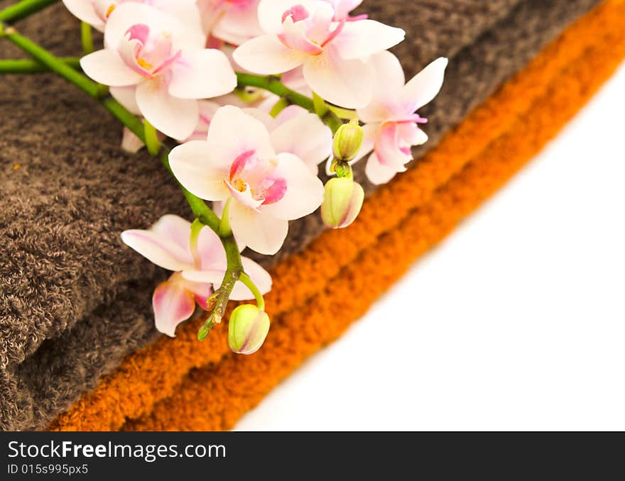 White pink orchid on spa towels over white background