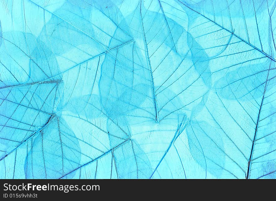 Background image of blue colored fallen autumn leaves. Scan. Background image of blue colored fallen autumn leaves. Scan.