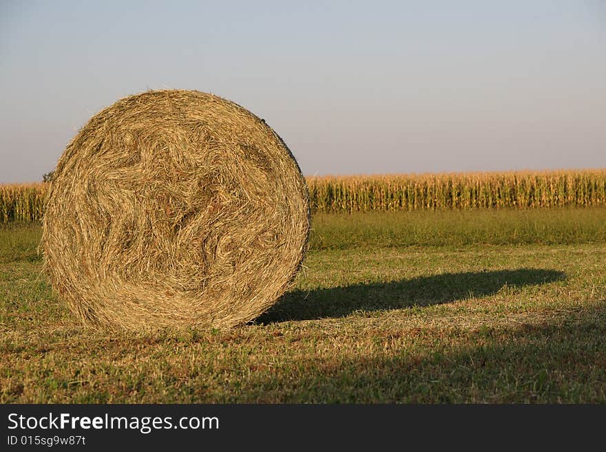 A particular of a strow bale. A particular of a strow bale