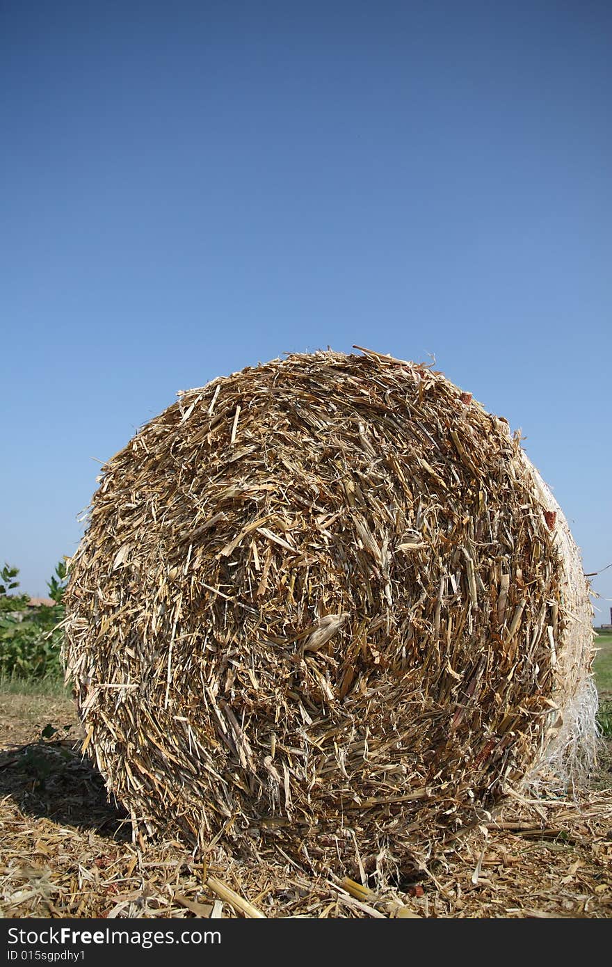 A particular of a strow bale under a blue sky. A particular of a strow bale under a blue sky