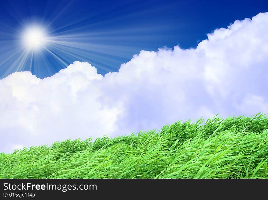 Shining sky on year green landscape