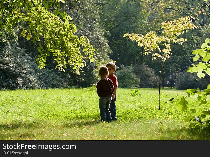 Little boy and girl look at the leaves of tree. Little boy and girl look at the leaves of tree.