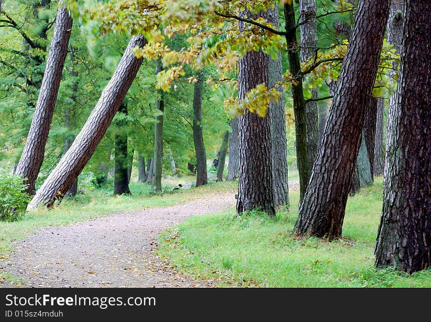 Autumn ancient park, morning wind