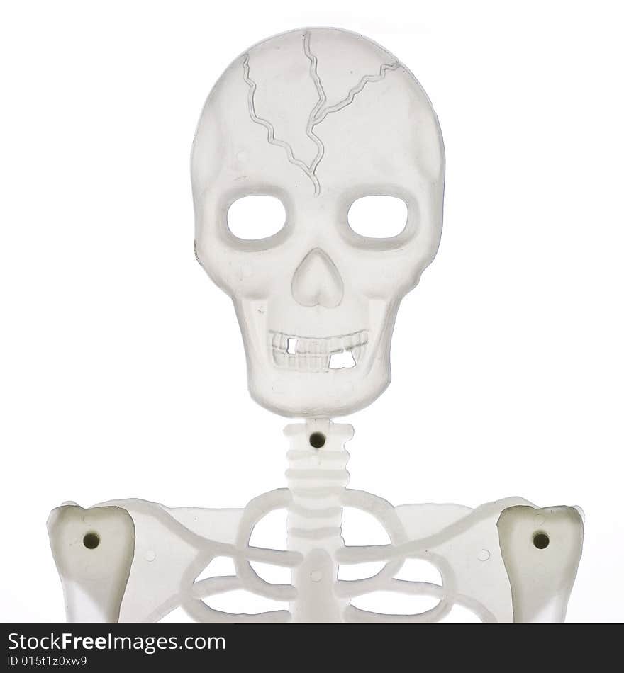 Portrait of the transparent skeleton isolated on white. Portrait of the transparent skeleton isolated on white