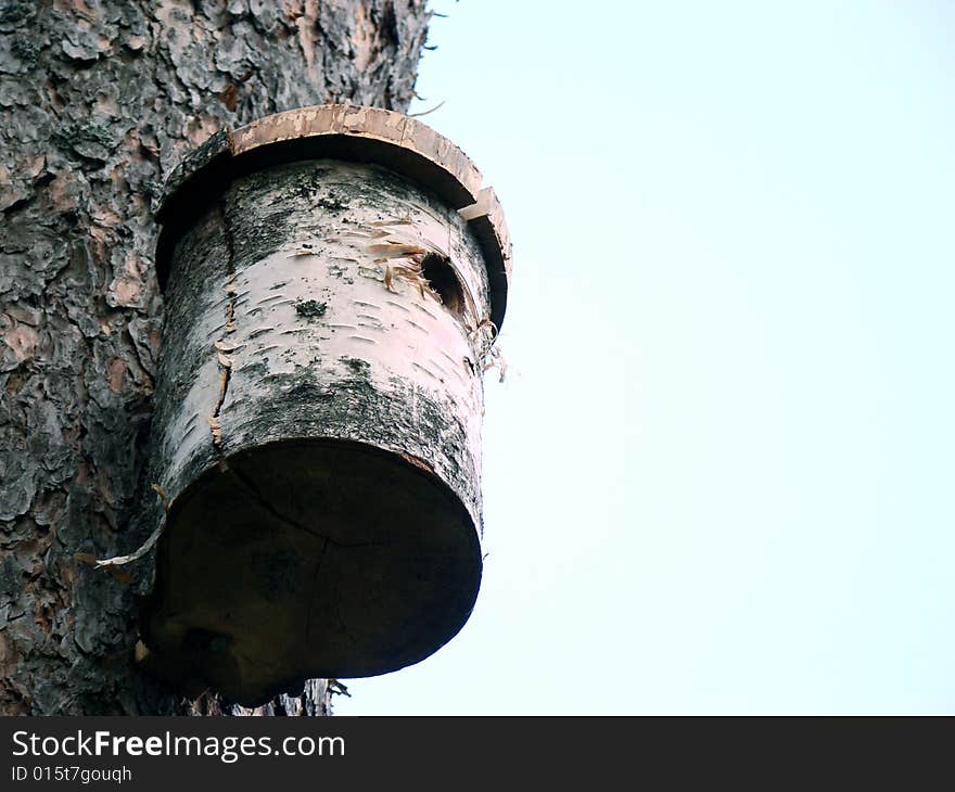 Nesting-box in the blue background