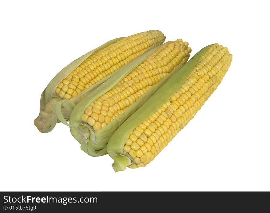 Ears of fresh corn isolated on white background