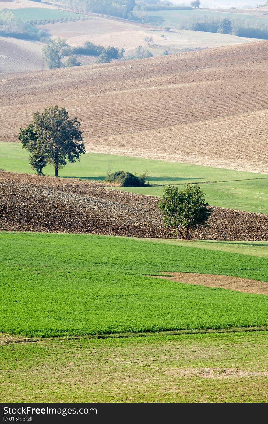 Countryside landscape: field and meadow in north Italy