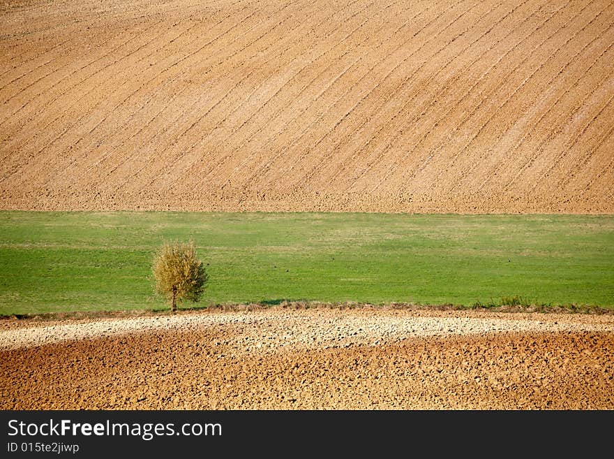 Countryside landscape: field and meadow in north Italy