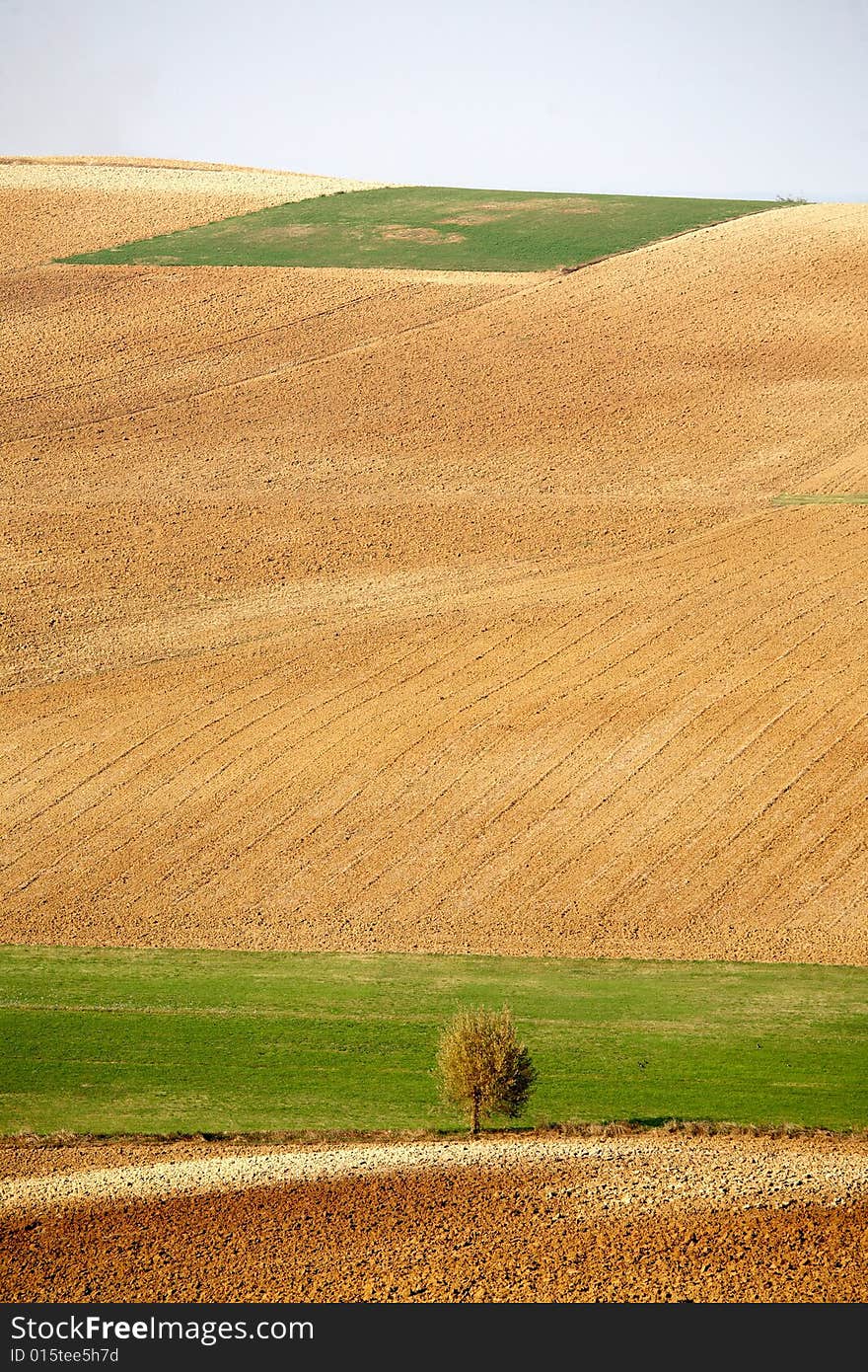 Countryside landscape: field and meadow in north Italy