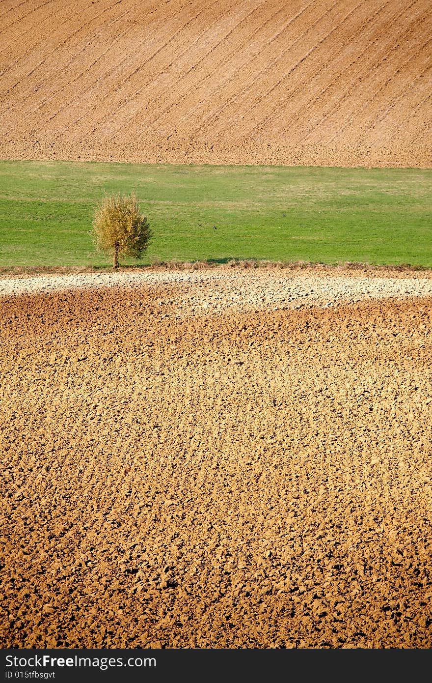 Countryside landscape: field and meadow in north Italy