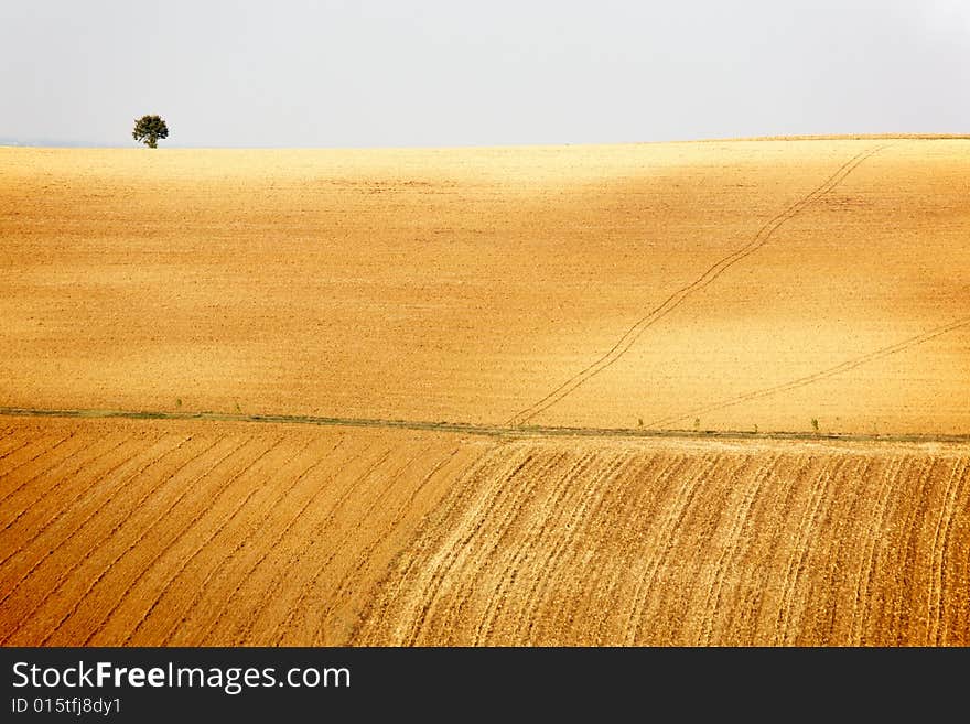 Countryside landscape: field and meadow in north Italy