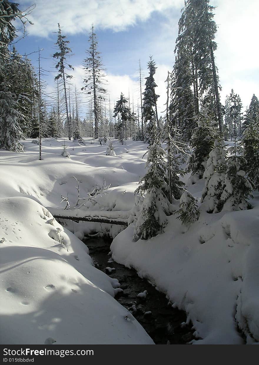 White Landscape