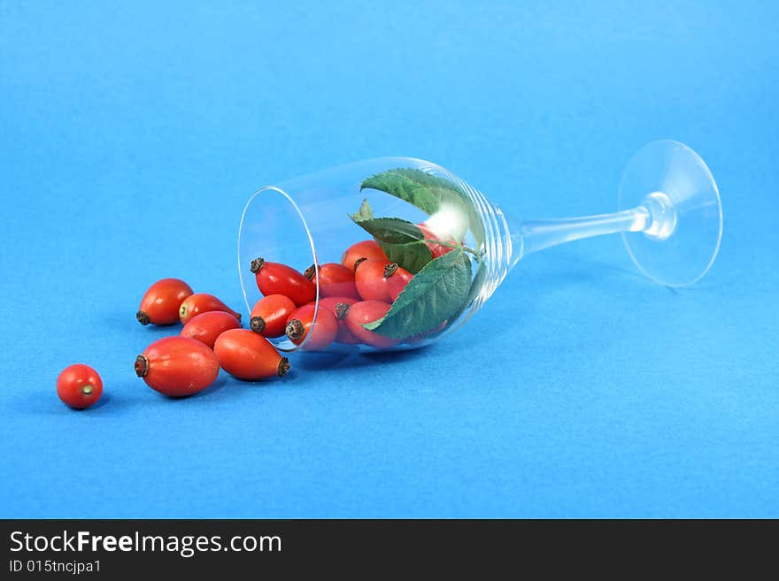 Lying wineglass with wild rose on blue background