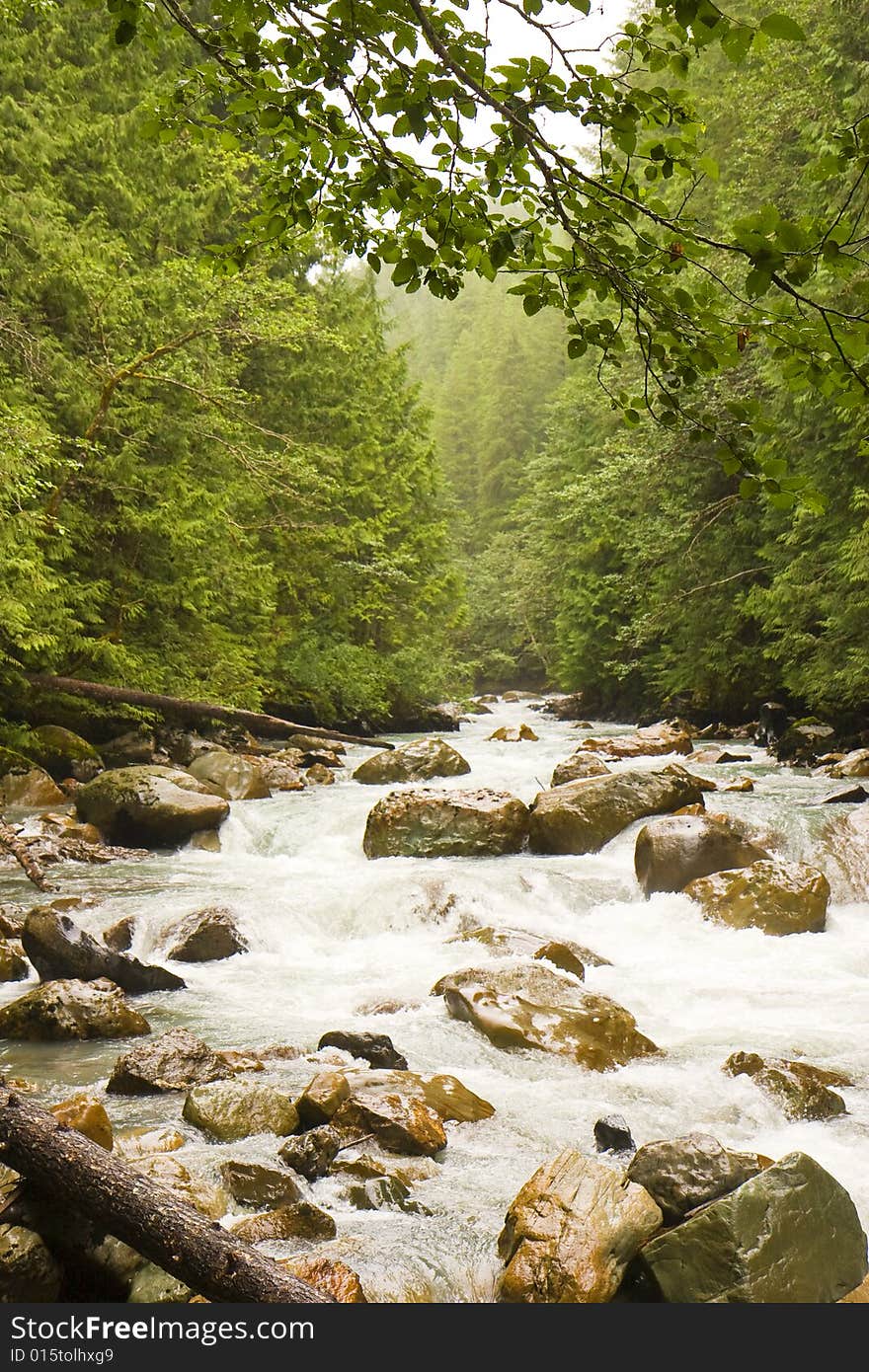 River Over Wet Rocks