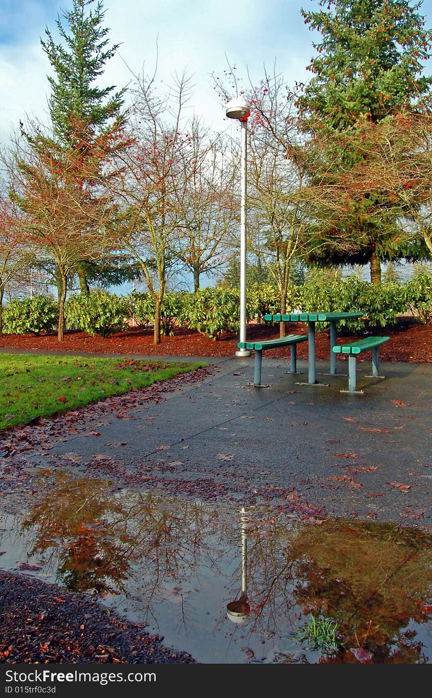 Lamp in the park with reflection on the water after rain