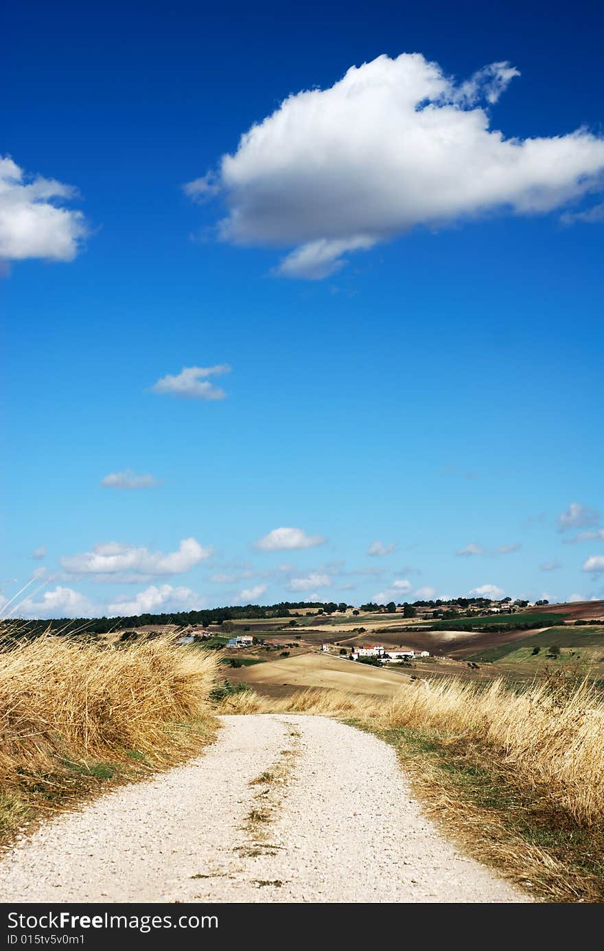 Little lane among cultivated fields in end summer