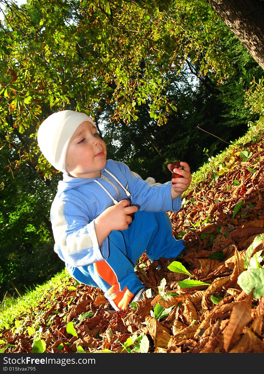 Autumn, little boy play with leaves and chestnuts, baby play in park