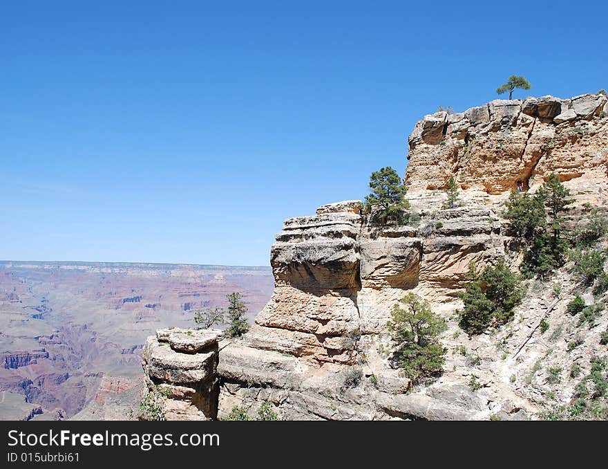 Grand Canyon view, trees on cliffs, Grand Canyon National Park, Arizona, USA. Grand Canyon view, trees on cliffs, Grand Canyon National Park, Arizona, USA