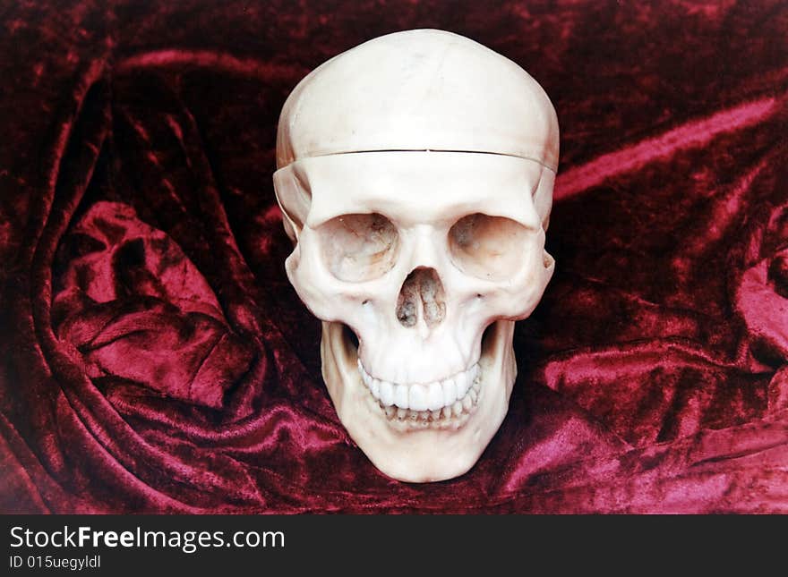 Human skull replica in red velvet background.