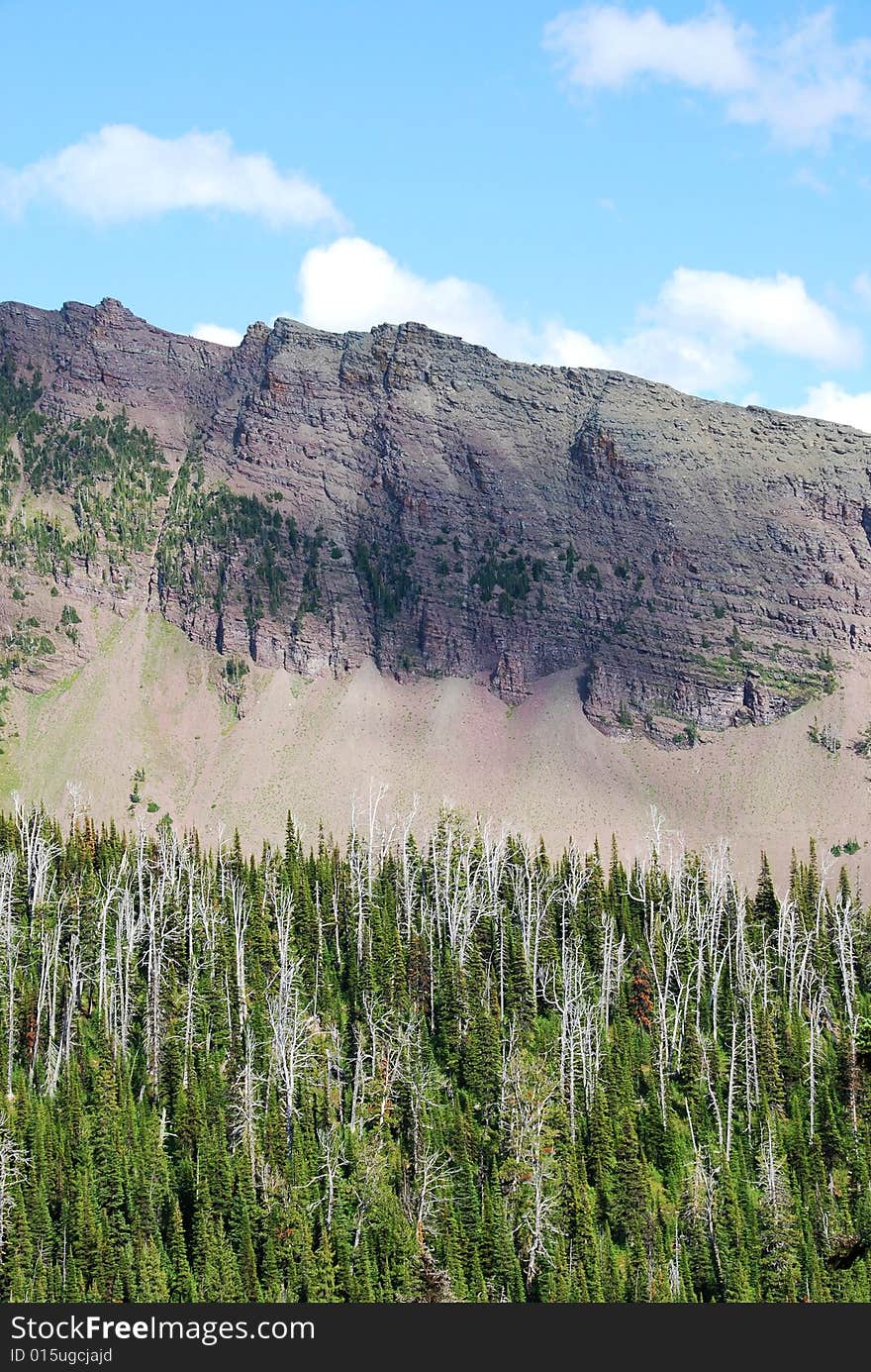 Moutain and trees