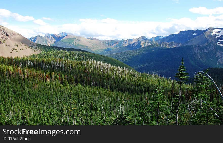 Carthew-Alderson Hiking Trail