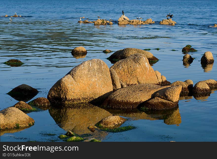 A close-up of the brown-red stones in seawater. Summer, early evening. A close-up of the brown-red stones in seawater. Summer, early evening.