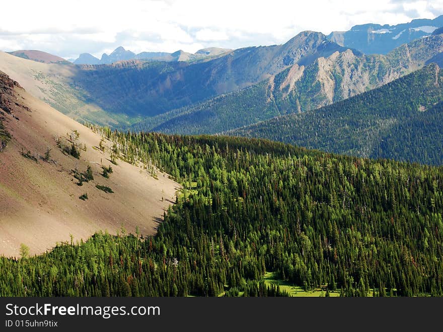 Moutain And Trees