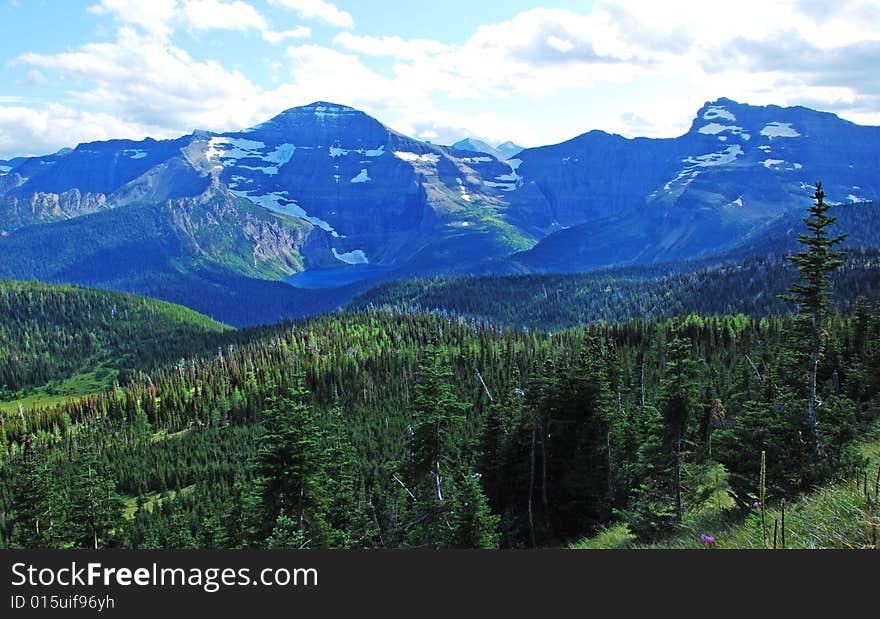 Moutain and trees