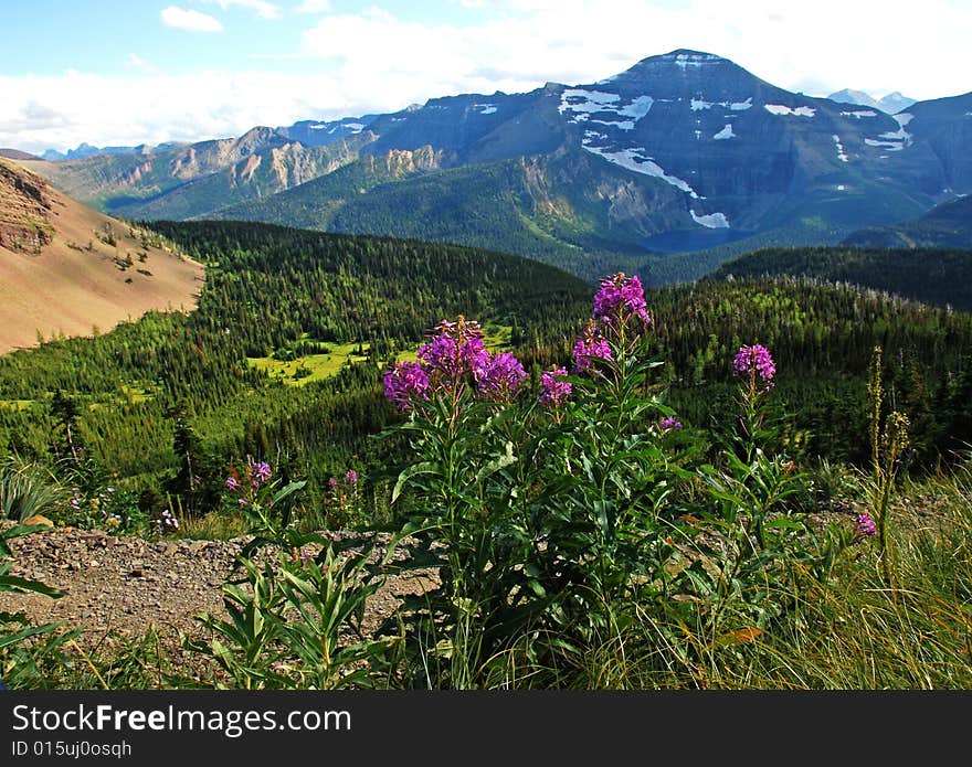 Carthew-Alderson Trail in Waterton National Park Alberta Canada. Carthew-Alderson Trail in Waterton National Park Alberta Canada