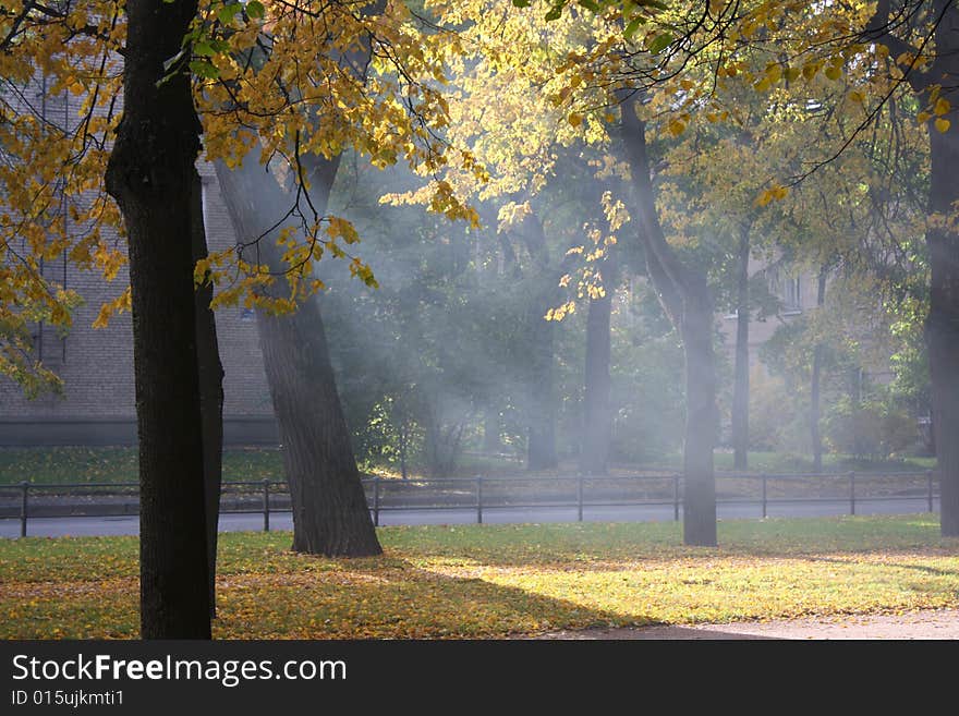 Light in the park, autumn time.