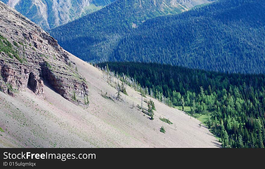 Moutain and trees