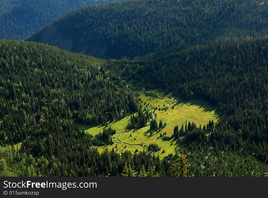 Bird View Of A Small River