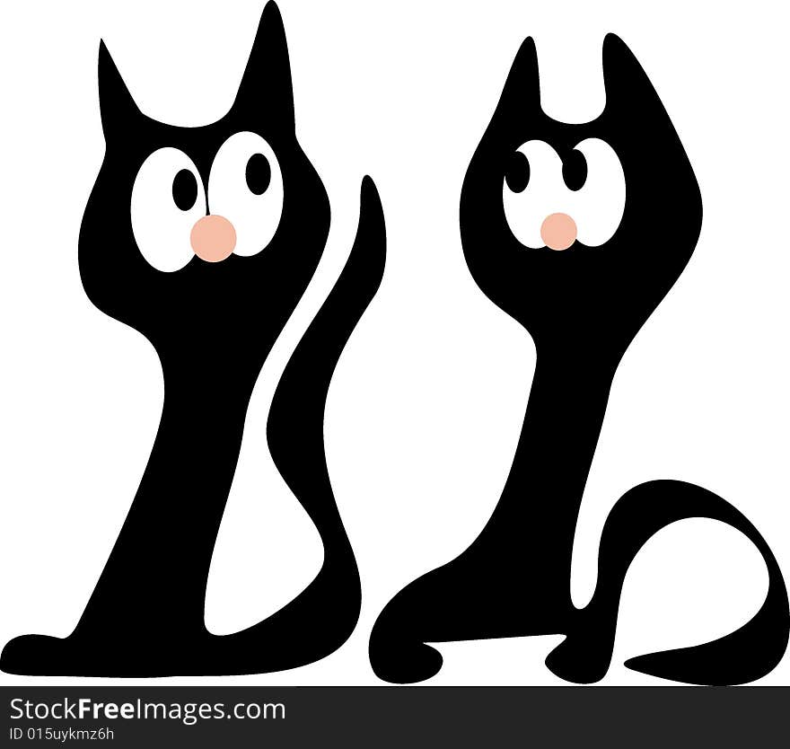 Two Black Cats