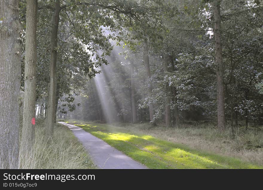 Sun creating beams in the haze. Sun creating beams in the haze.