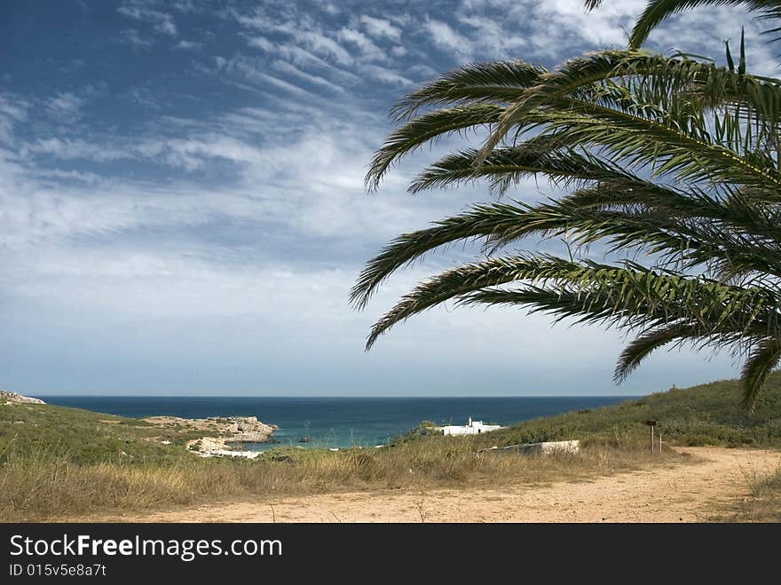 Palm tree in front of beautiful landscape. Palm tree in front of beautiful landscape.